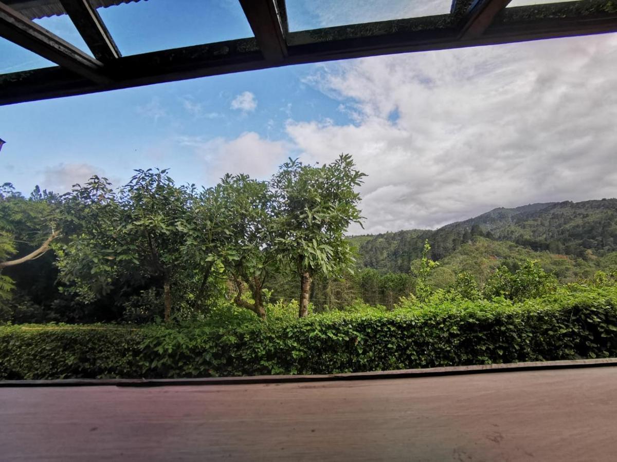 Cabana Hamacas Cartago Exteriör bild
